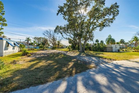Land in New Port Richey, Florida № 2159904 - photo 8