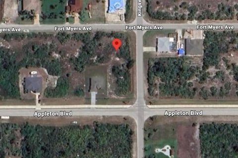 Land in Port Charlotte, Florida № 2163816 - photo 2