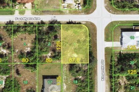 Land in Port Charlotte, Florida № 2163816