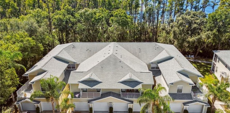 Condo à Lutz, Floride, 3 chambres  № 2420400