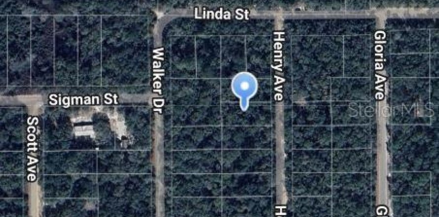 Terrain à Interlachen, Floride № 2223899
