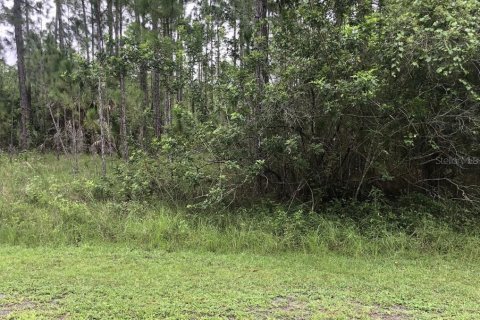Land in Indian lake estates, Florida № 1790099 - photo 1