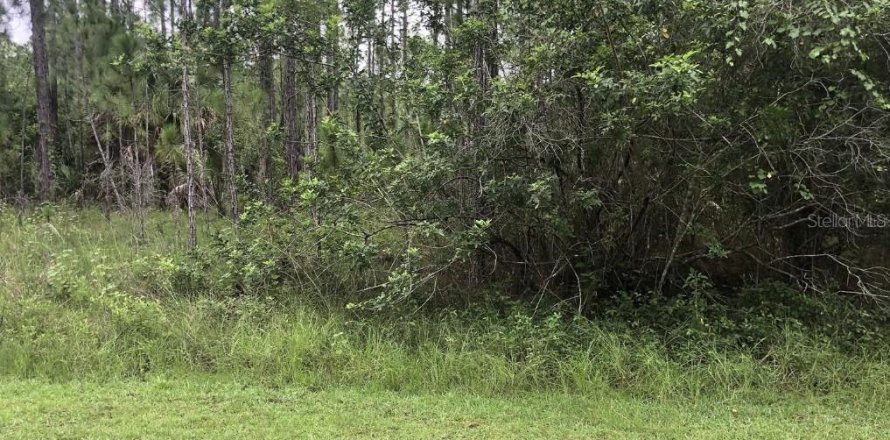 Land in Indian lake estates, Florida № 1790099