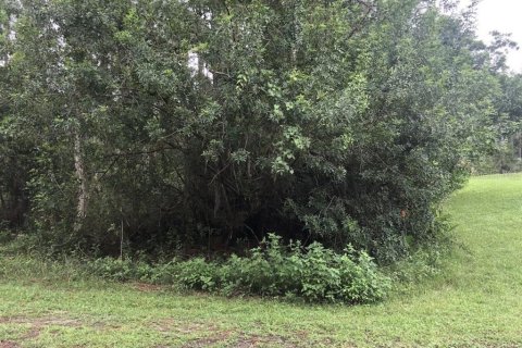 Land in Indian lake estates, Florida № 1790099 - photo 3
