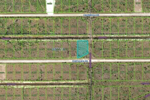Land in Indian lake estates, Florida № 2161977 - photo 2