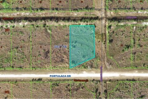 Land in Indian lake estates, Florida № 2161977