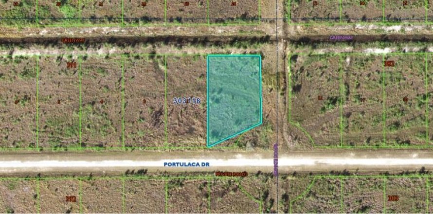 Land in Indian lake estates, Florida № 2161977