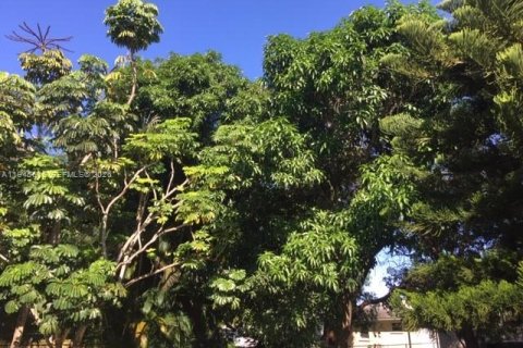 House in North Miami Beach, Florida 2 bedrooms, 61.04 sq.m. № 2002020 - photo 15