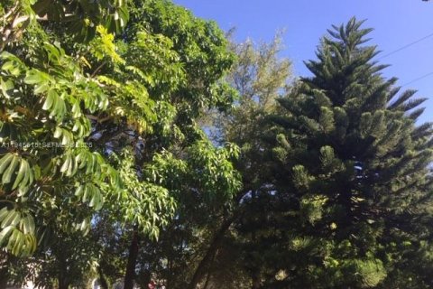 House in North Miami Beach, Florida 2 bedrooms, 61.04 sq.m. № 2002020 - photo 16