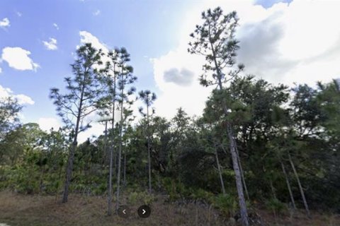 Terrain à Indian lake estates, Floride № 2160332