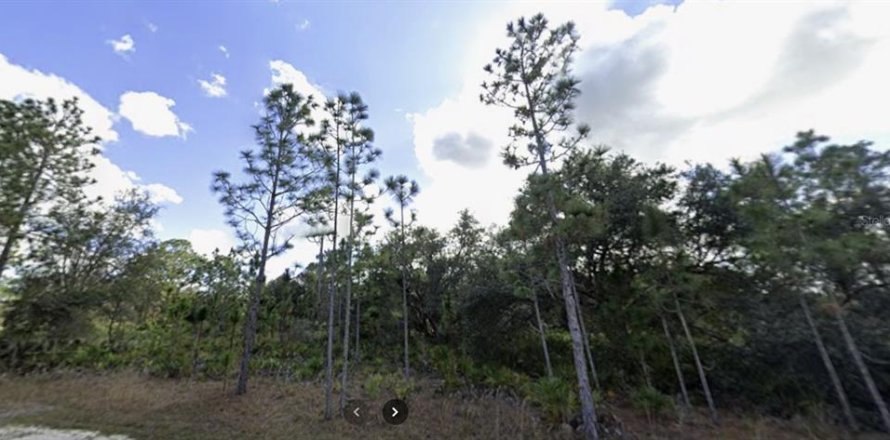 Land in Indian lake estates, Florida № 2160332