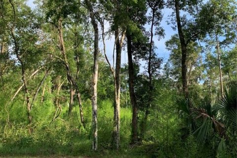 Land in Brooksville, Florida № 1765740 - photo 1
