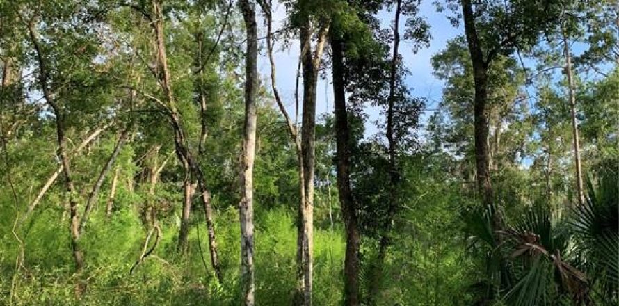 Land in Brooksville, Florida № 1765740