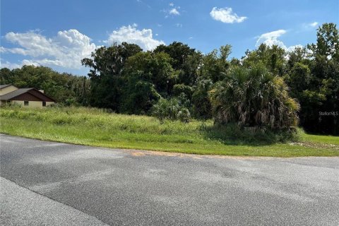 Terreno en venta en Leesburg, Florida № 1844415 - foto 1