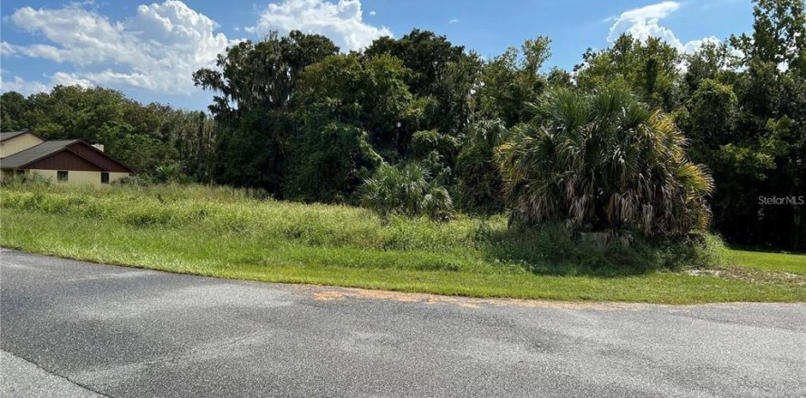 Terreno en Leesburg, Florida № 1844415
