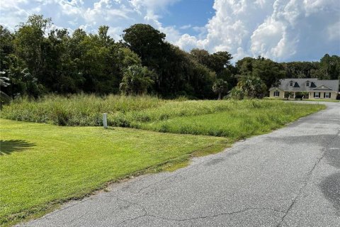 Terreno en venta en Leesburg, Florida № 1844415 - foto 4