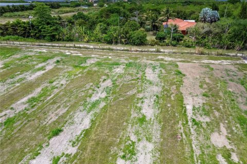 Commercial property in Homestead, Florida № 1863758 - photo 8