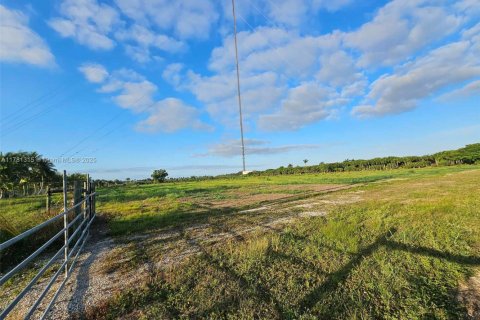 Commercial property in Homestead, Florida № 1863758 - photo 4