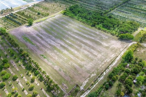 Commercial property in Homestead, Florida № 1863758 - photo 23