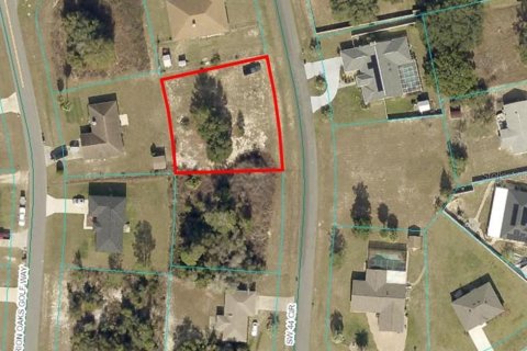 Terreno en venta en Ocala, Florida № 1719926 - foto 2