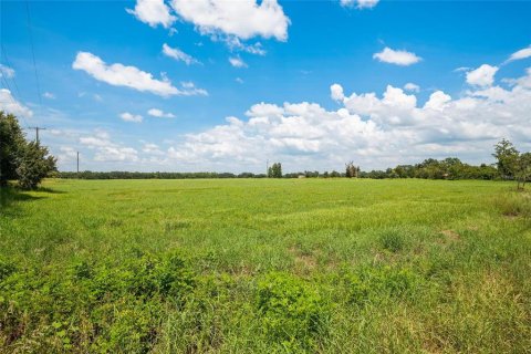 Terreno en venta en Thonotosassa, Florida № 1918800 - foto 13