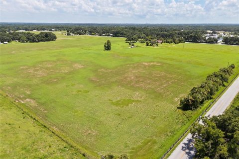 Terreno en venta en Thonotosassa, Florida № 1918800 - foto 5