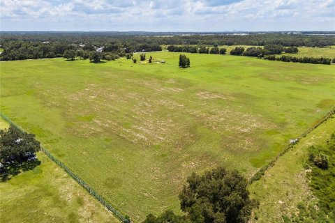 Terreno en venta en Thonotosassa, Florida № 1918800 - foto 6