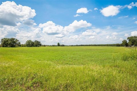 Terreno en venta en Thonotosassa, Florida № 1918800 - foto 17