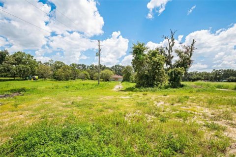 Terreno en venta en Thonotosassa, Florida № 1918800 - foto 15