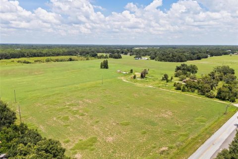 Terreno en venta en Thonotosassa, Florida № 1918800 - foto 4