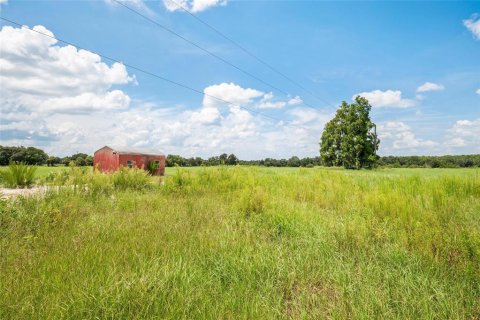 Terreno en venta en Thonotosassa, Florida № 1918800 - foto 16
