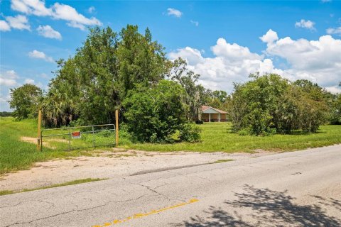Terreno en venta en Thonotosassa, Florida № 1918800 - foto 12