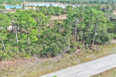 Land in Fort Myers, Florida № 2160198 - photo 5