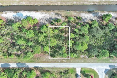 Land in Fort Myers, Florida № 2160198 - photo 2