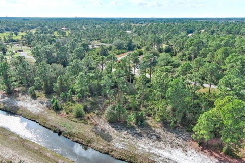 Land in Fort Myers, Florida № 2160198 - photo 30
