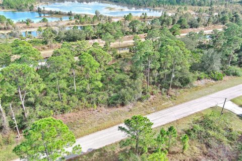 Land in Fort Myers, Florida № 2160198 - photo 14