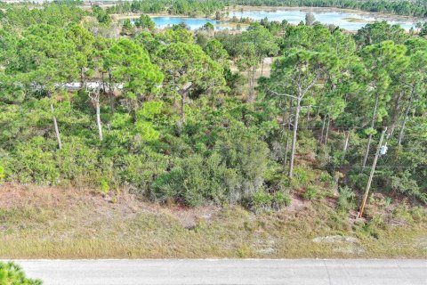 Land in Fort Myers, Florida № 2160198 - photo 4