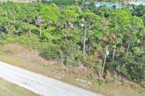 Land in Fort Myers, Florida № 2160198 - photo 8