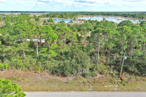 Land in Fort Myers, Florida № 2160198 - photo 3