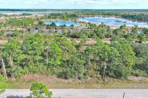 Land in Fort Myers, Florida № 2160198 - photo 12