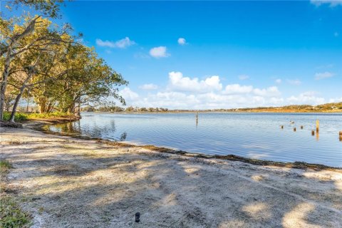 House in Windermere, Florida 4 bedrooms, 292.64 sq.m. № 1513170 - photo 9