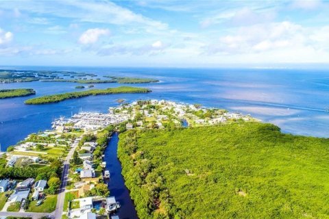 Villa ou maison à vendre à Ruskin, Floride: 2 chambres, 93.65 m2 № 2434500 - photo 13