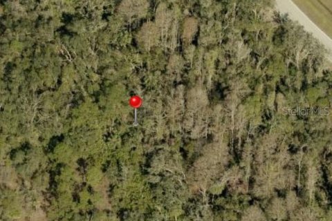 Land in Wimauma, Florida № 1806890 - photo 1
