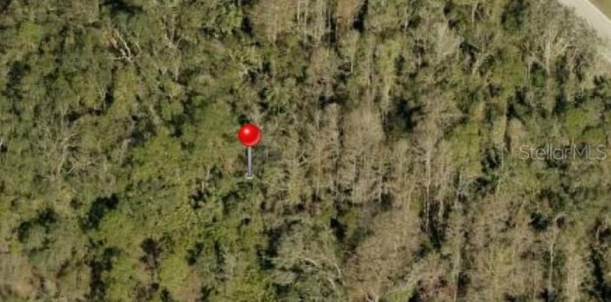 Land in Wimauma, Florida № 1806890