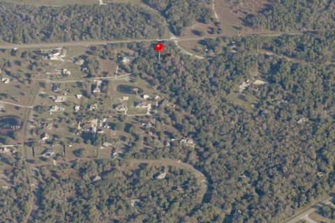 Land in Wimauma, Florida № 1806890 - photo 5