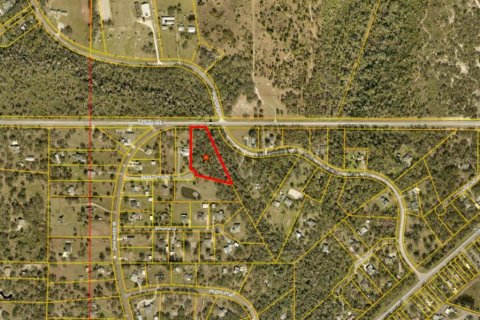 Land in Wimauma, Florida № 1806890 - photo 4
