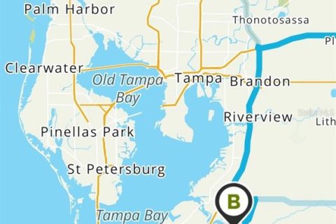 Land in Wimauma, Florida № 1806890 - photo 3