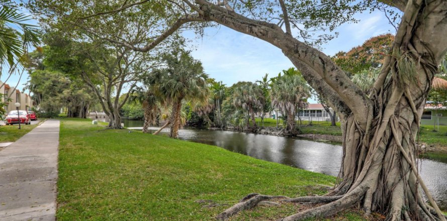 Condo in Lauderhill, Florida, 1 bedroom № 1057876