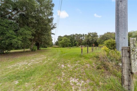 Terrain à Ocklawaha, Floride № 2107354
