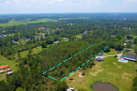 Land in Orlando, Florida № 1786699 - photo 5